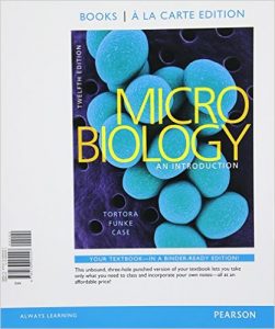 Microbology: An Introduction Textbook